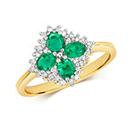 9ct Yellow Gold Emerald and Diamond Cluster Ring